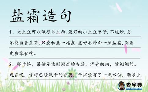 鹽霜造句