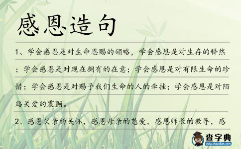 感恩造句
