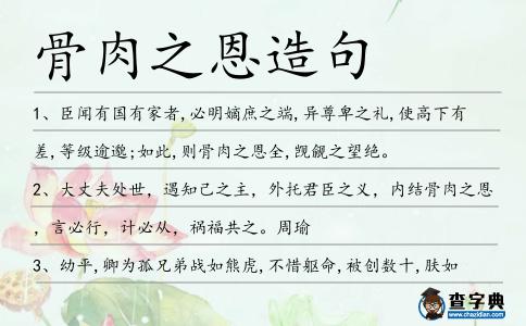 骨肉之恩造句