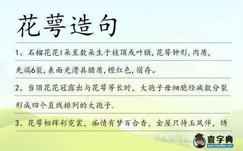 花萼造句