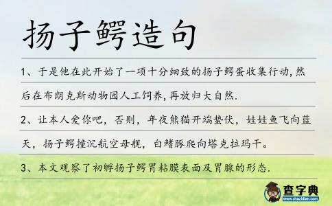 揚子鱷造句