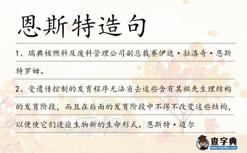 恩斯特造句