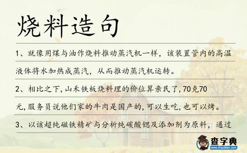 燒料造句