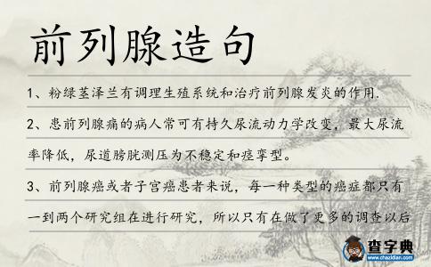 前列腺造句