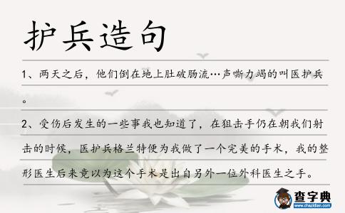 護兵造句