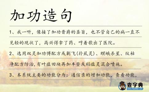 加功造句
