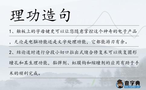 理功造句