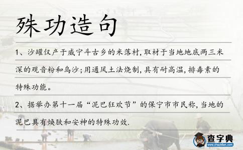 殊功造句