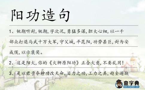 陽功造句