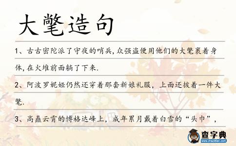 大氅造句
