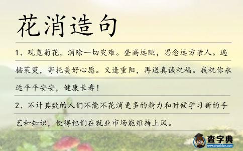 花消造句