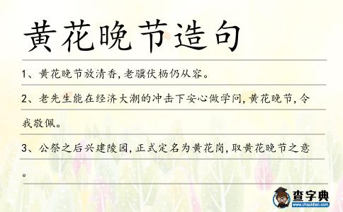 黃花晚節(jié)造句