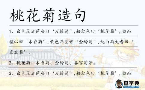 桃花菊造句