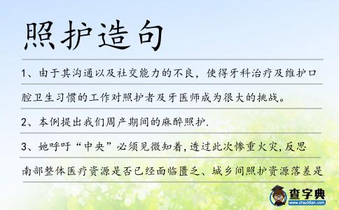 照護造句