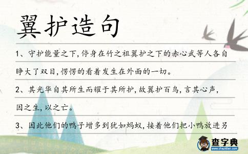 翼護造句