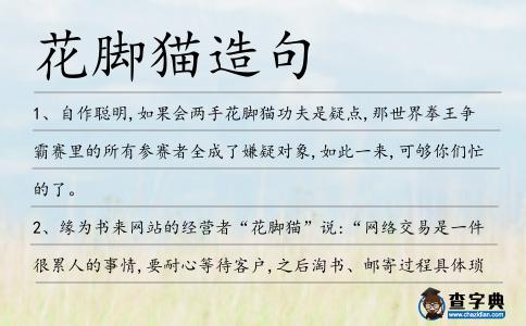 花腳貓造句