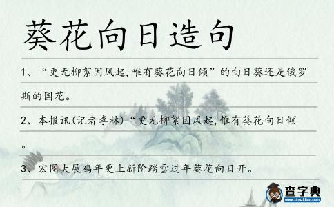 葵花向日造句