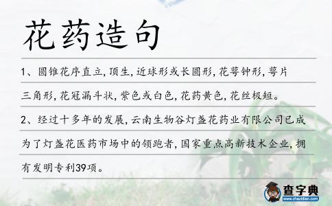 花藥造句