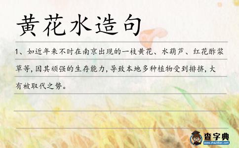 黃花水造句