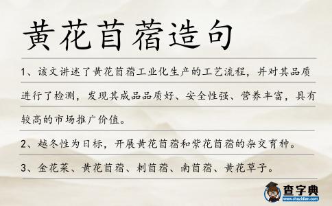 黃花苜蓿造句