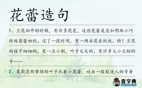 花蕾造句