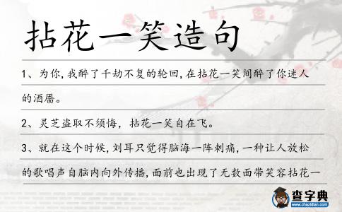 拈花一笑造句