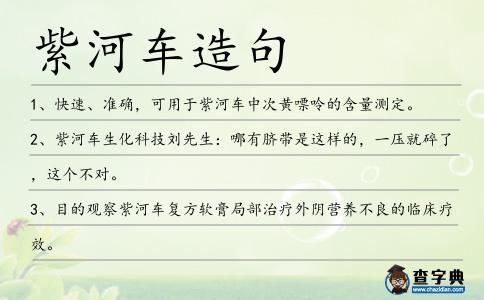 紫河車造句