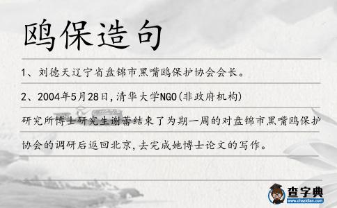 鷗保造句