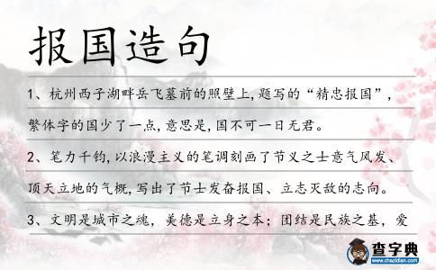 報國造句