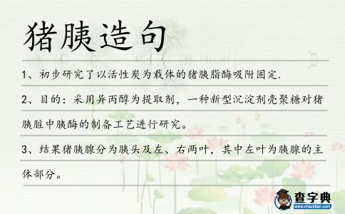 豬胰造句