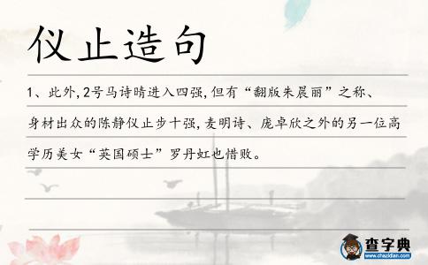 儀止造句