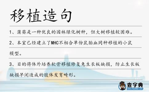 移植造句