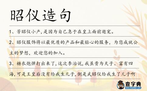 昭儀造句