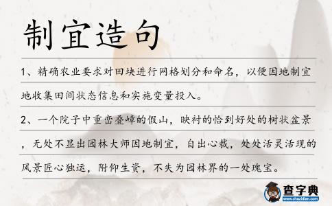 制宜造句
