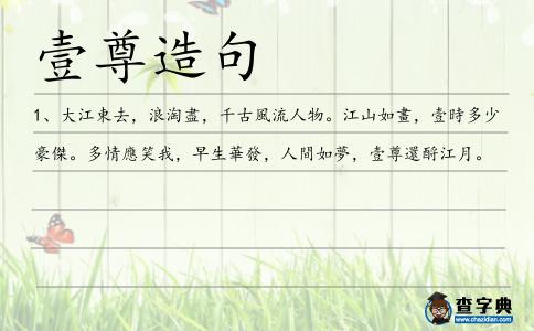 壹尊造句