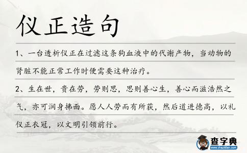 儀正造句