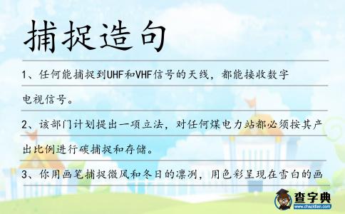 捕捉造句