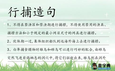 行捕造句