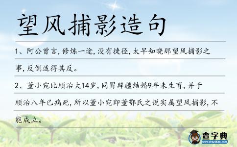 望風捕影造句