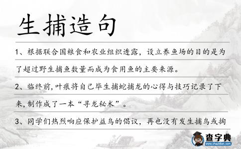 生捕造句