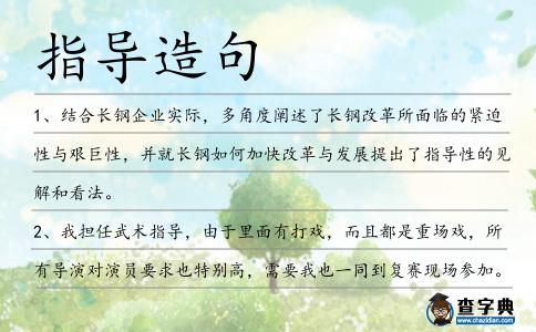 指導(dǎo)造句