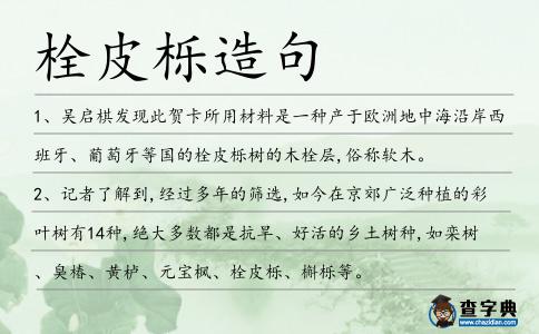 栓皮櫟造句