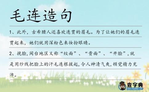 毛連造句