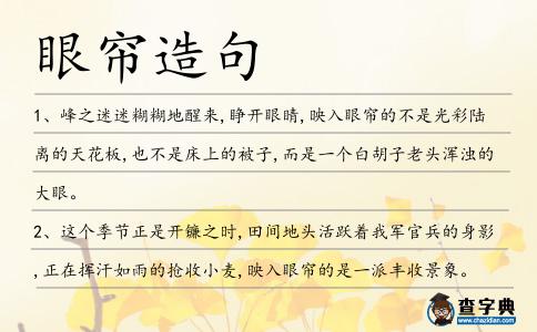 眼簾造句