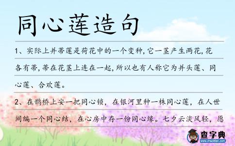 同心蓮造句