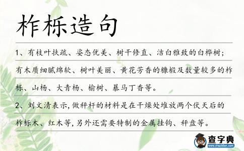 柞櫟造句