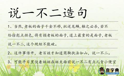 說(shuō)一不二造句