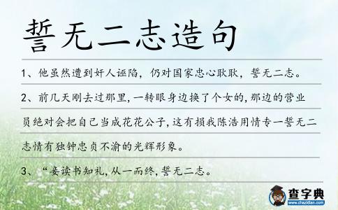 誓無二志造句