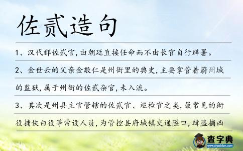 佐貳造句