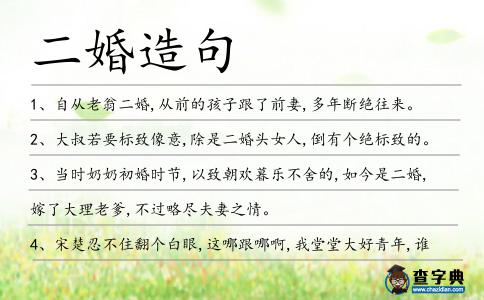 二婚造句